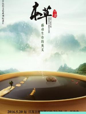 岁月神偷
